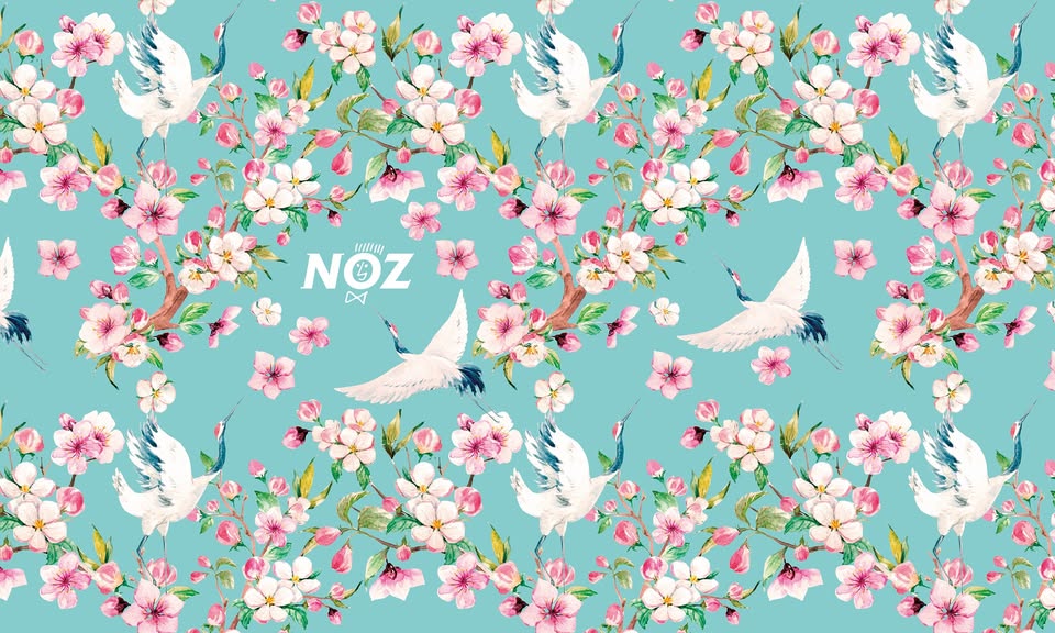 Catalogue Noz